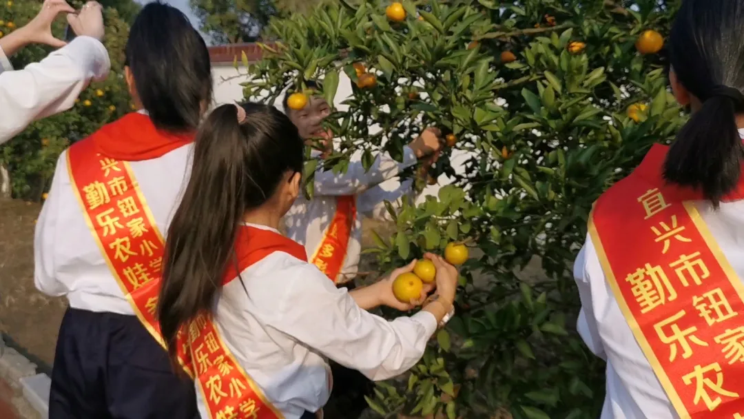 图片48.png